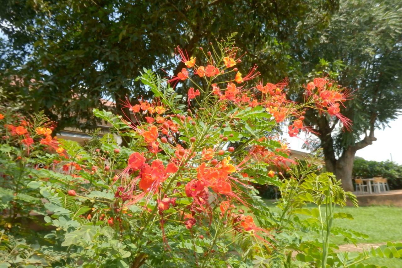 Dutchess Hotel And Restaurant Fort Portal Luaran gambar